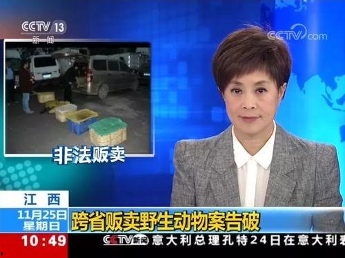 遂川爆料小哥新闻夜航,新闻夜航中的民间观察者 第1张 遂川爆料小哥新闻夜航,新闻夜航中的民间观察者 第1张