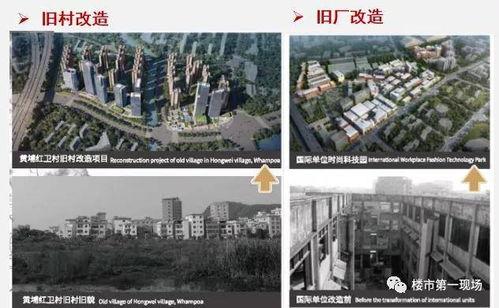 惠州新闻爆料地址,揭秘某神秘地址背后的故事