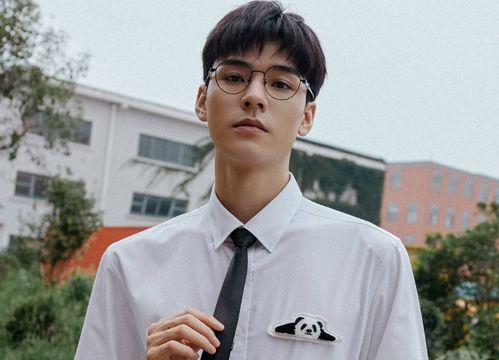 爆料龚俊女友视频播放,颜值与实力并存