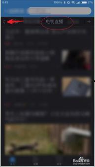 东方在线 观看,探索东方文化的魅力之旅 第2张 东方在线 观看,探索东方文化的魅力之旅 第2张